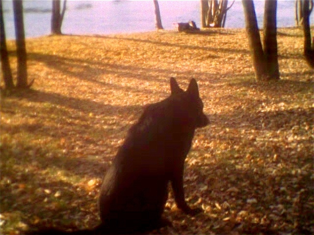 Nov03_18.JPG